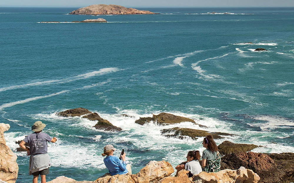 Casona Islas Blancas, Camarones